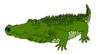 alligator2 clip art
