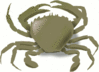 crab 9 clip art