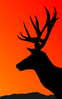 deer deer siloette clip art