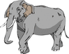 elephant 3 clip art