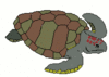sea turtle 2 clip art