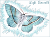 Light Emerald Moth clip art