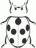 ladybug BW clip art