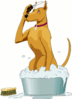 dog in bath cartoon clip art