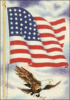 US military flag and eagle clip art